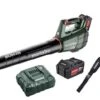 Metabo LB 18 LTX BL 18V Li-Ion Accu Bladblazer Set (2x 5,2Ah) - Koolborstelloos - 150km/h 2 Metabo LB 18 LTX BL 18V Li-Ion Accu Bladblazer Set (2x 5,2Ah) - Koolborstelloos - 150km/h -Metabo Winkel 0a1f9d9c56ee7c4aa6d107c4fe6a90ef