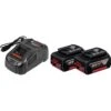 Bosch 1600A00B8J 18V Li-Ion Accu Starterset (2x 5.0Ah) + Lader -Metabo Winkel 1f14bc1c1d018b49cd5238322a6c948b