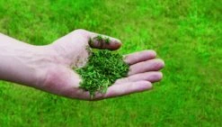 Einhell GC-PM 52/2 S HW Benzine Grasmaaier - 80L - 52cm - 3404850 -Metabo Winkel 8813e7ff1c644f4bd554b7401bfce919