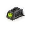 Greenworks G24C 24V Li-ion Acculader 2 Greenworks G24C 24V Li-ion Acculader -Metabo Winkel c54b1cd05ea74d36fa68074d69ed6f75