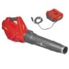WOLF-Garten Lycos 40/740 B Accu Bladblazer - Set - 240km/H -Metabo Winkel fbb90d87d606dc5cd02d93af011ba570